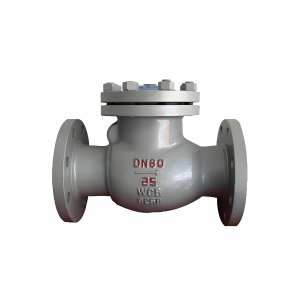 DN50 PN25 介質：甲胺，溫度：80℃止回閥