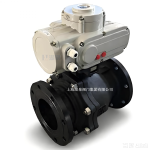 電動球閥DN50，PN10，手柄式；304不銹鋼